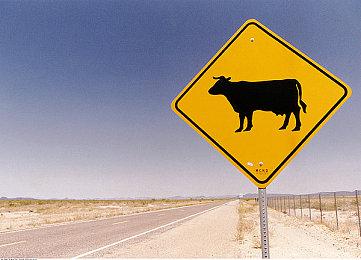 《糖豆人》x“胖吉猫”联动预告公开 皮肤可将限时获取